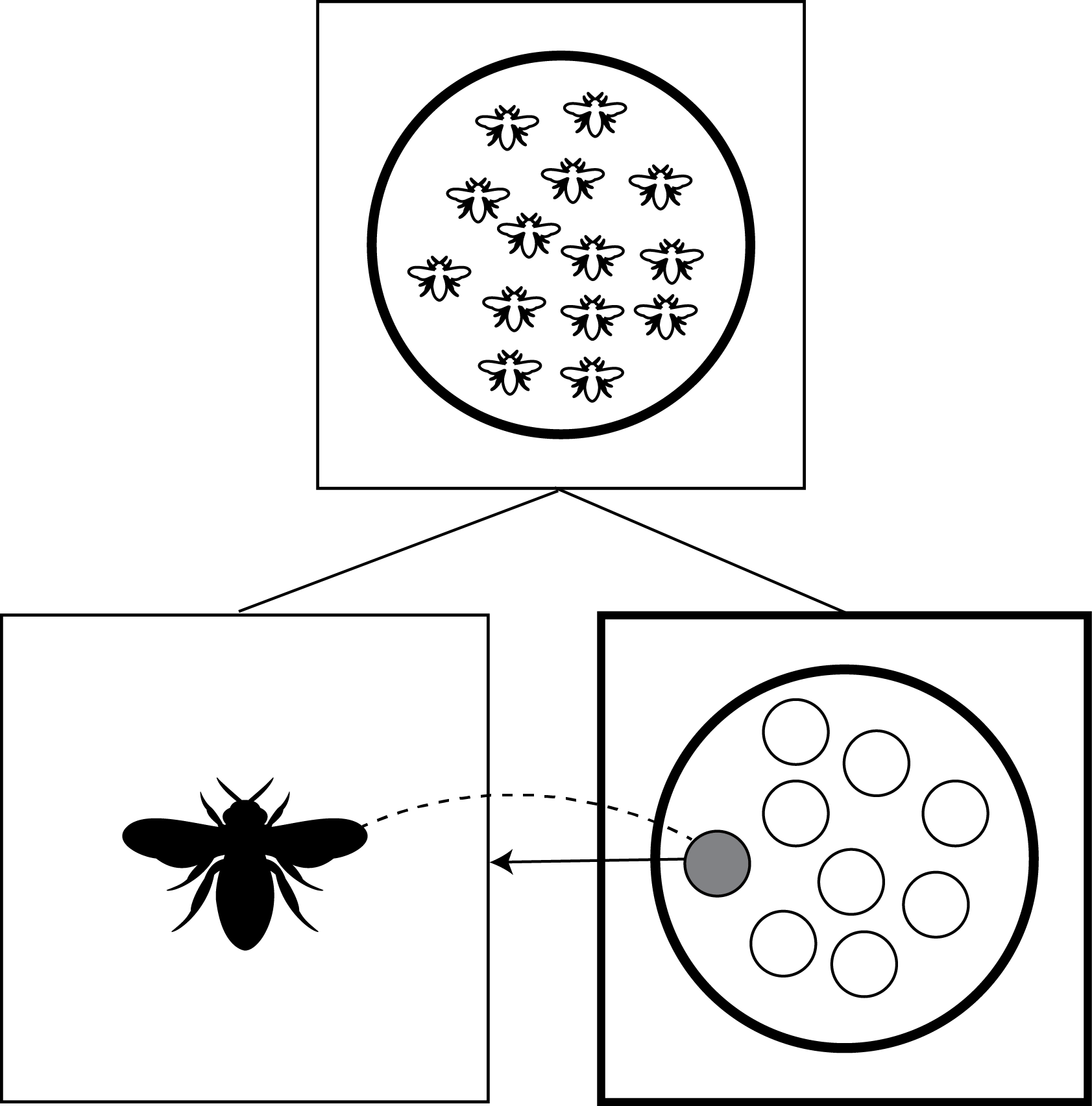 Bees This alt text needs work.